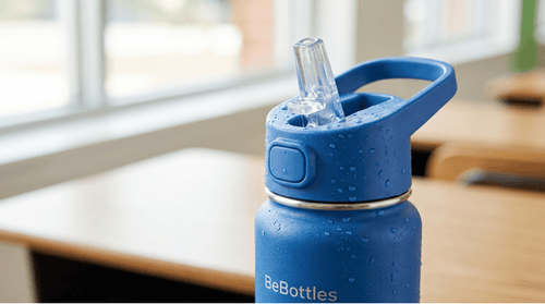 BeBottles™ Insulated Stainless Steel Water Bottle